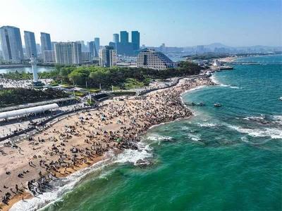 灼言丨“宠客”，山东太会了！