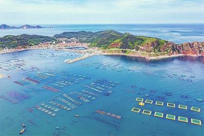 从黄渤海到印度洋，山东版“零碳攻略”有多能打？