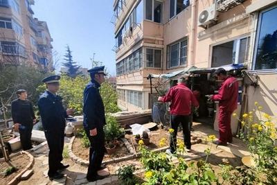 查处整改涉绿违法问题203起，青岛持续推进“春季护绿”专项执法保障行动