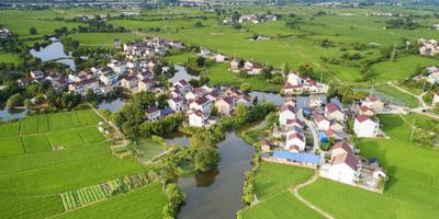 评论丨民富业兴，看山东这“二十招”