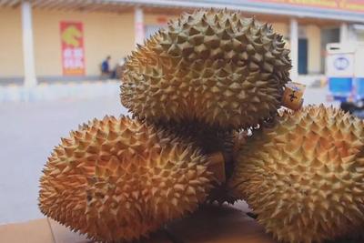 “水果之王”价格腰斩，还能再降！