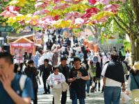 “五一”假期青岛老城区人气爆棚，市集咖啡飘香引客来