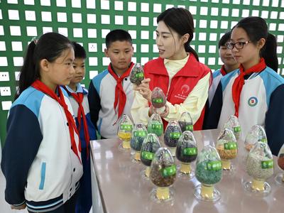 小学生研学活动走进种子博物馆