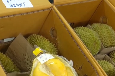 价格降了！榴莲大量上市，一整个期待住了