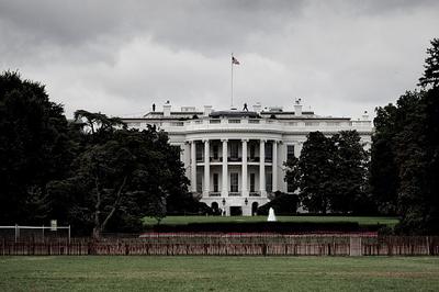 美国商会致信白宫：赶紧减免关税，我们被小企业的求助淹没了