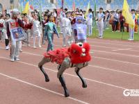 机器狗、直升机、人形机器人……青岛这场小学生运动会科技感满满