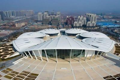 速看！上合组织“中国年”，山东即将开启这些精彩活动