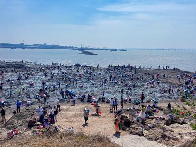 青岛重点监测商贸企业销售额同比增11%
