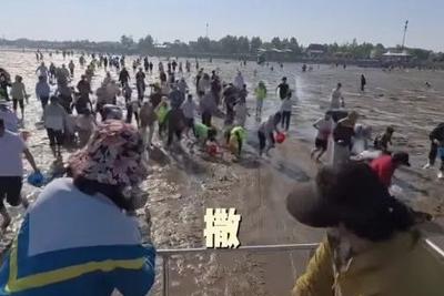 山东一景区怕游客赶不到海，一下午撒3000斤蛤蜊