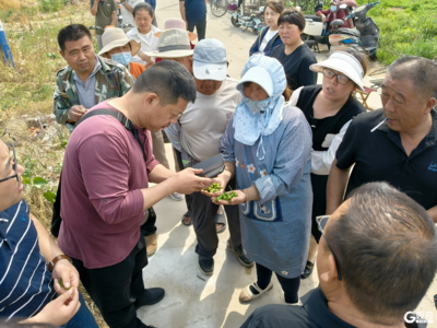 专家教授走进田间地头手把手教村民种苹果！科技下乡播撒水利移民村振兴“金种子”