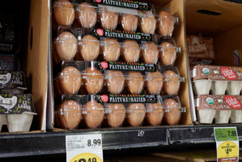 多人感染沙门氏菌，美国超170万枚鸡蛋被召回