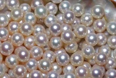 警惕！直播时让人心动的开蚌30秒，可能是主播设计的表演