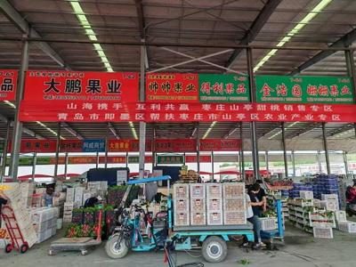 即墨牵手山亭，产业融合帮扶助油桃进青