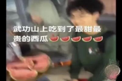 景区“西瓜240元一个”系摆拍！警方：已行拘