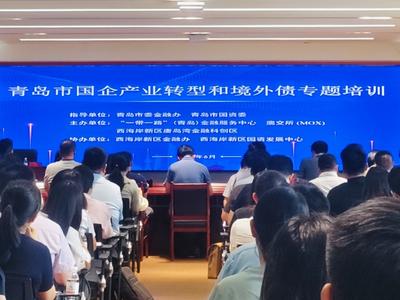 提高运用境外债券市场能力和水平！青岛市国企产业转型及境外债专题培训举行 