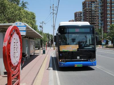 甜蜜又治愈，城阳巴士打造644路“甜杏品玩”特色线路