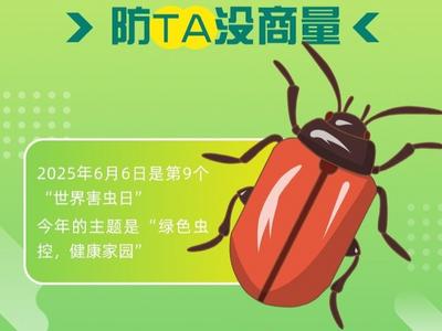 世界害虫日 | 给害虫“过节”？防它没商量