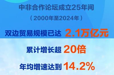 25年年均增速达14.2%，中非贸易规模已超2万亿元