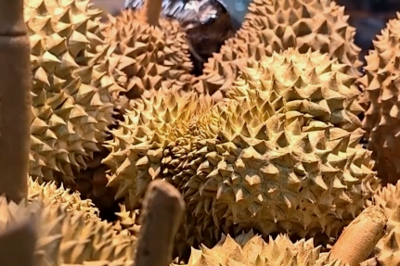 降！降！降！榴莲多年来最低价的背后是这些原因→