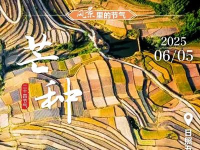 “众”说节气·芒种丨始于希望，结于丰盈