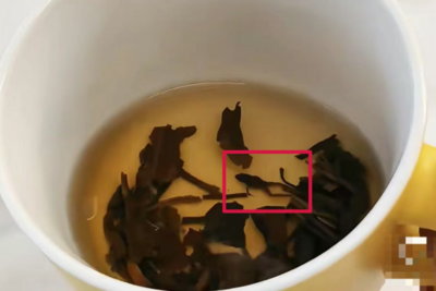 知名茶饮被曝喝出青蛙，当事人：太恶心了，差点喝进嘴里