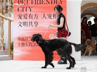 “宠犬有方”，让文明养宠不“掉链”，市南区举办文明养犬主题实践活动