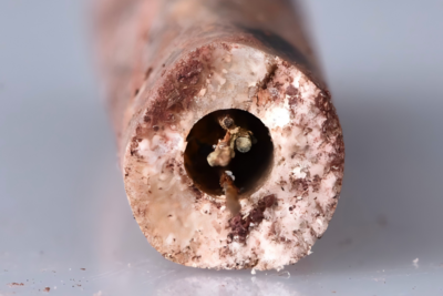 海昏侯墓发现我国迄今最早钢制医用毫针