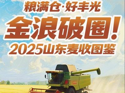 金浪破圈！2025山东麦收图鉴