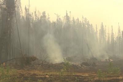 野火持续蔓延，加拿大被疏散居民：大火当时离我们只有半公里
