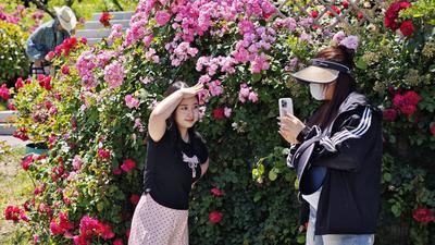 六月浮山森林公园：诗意夏日，美好满溢