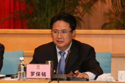 十三届全国人大华侨委员会副主任委员罗保铭被提起公诉