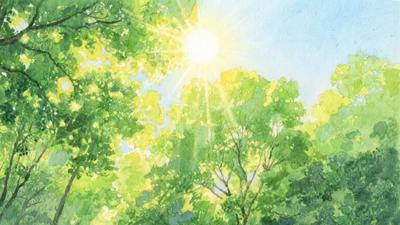 高温来袭，专家提示这三类人群要重点防护