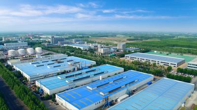 灼言丨一群“冠军”撑起山东发展“硬脊梁”