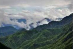 “打卡”秦岭核心保护区，户外公司被追责！