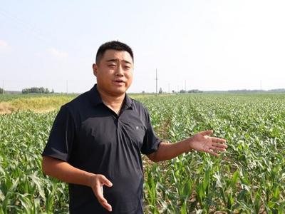 粮满仓·好丰光丨新农人：智慧管家给万亩良田安上“全景”监控