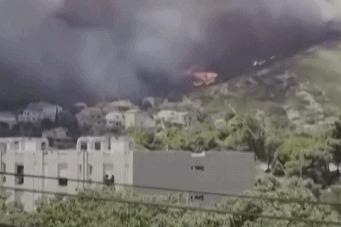 法国南部森林火灾蔓延，已烧毁超700公顷林地