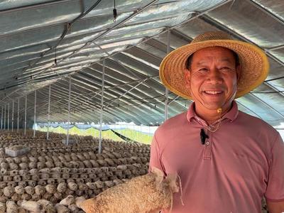 粮满仓·好丰光丨新农人：从“打工人”到“菌司令”，郯城县胜利镇菌菇致富记