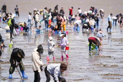 赶海欢乐多，这些风险也要注意