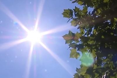 多地持续“桑拿天”，这份防中暑秘籍请收好