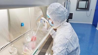 奥克生物：干细胞药研发的“青岛力量”