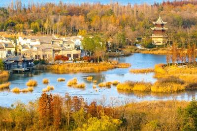 中国9地获“国际湿地城市”认证！总数继续居全球第一