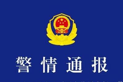 发布虚假“警情通报”，传播“昆明驾车撞人案131人死亡”谣言，白某某、陈某某被刑拘