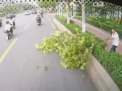 城市文明就藏在这些温暖身影里！青岛车载监控记下暖心一幕幕……
