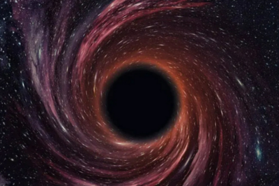 科研人员发现一恒星与黑洞相遇后“幸存”