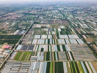 青岛农业大学种都科研基地及产业孵化平台签约落地即墨移风店镇