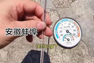 预报39℃街头实测50℃，咋回事？