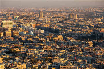 中东11国发表联合声明支持叙利亚