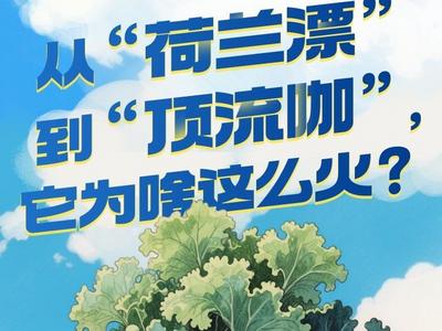 粮满仓·好丰光丨从“荷兰漂”到“顶流咖”，它为啥这么火？