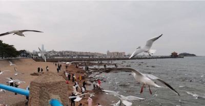 灼言丨夏日经济何以热力十足