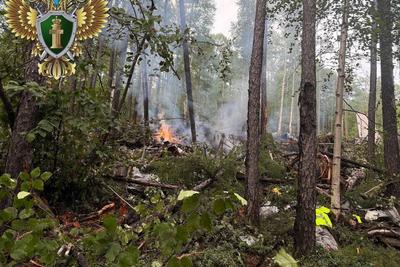 首批俄失事客机坠毁现场图片公布